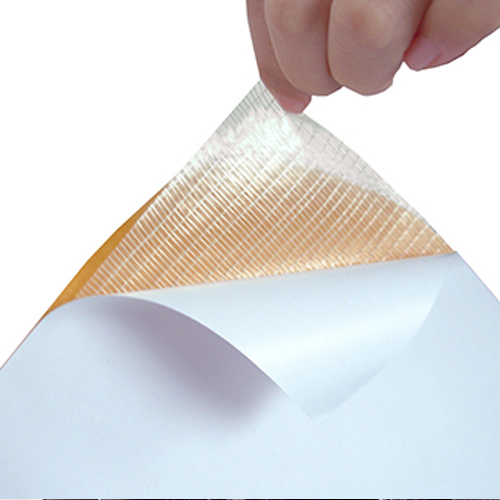 Taşıyıcı (Transfer)